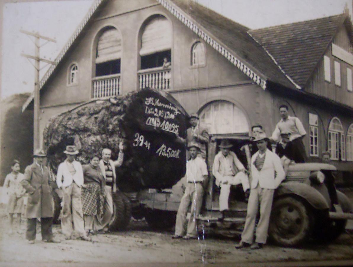 Hotel Scholze Canoinhas Bagian luar foto